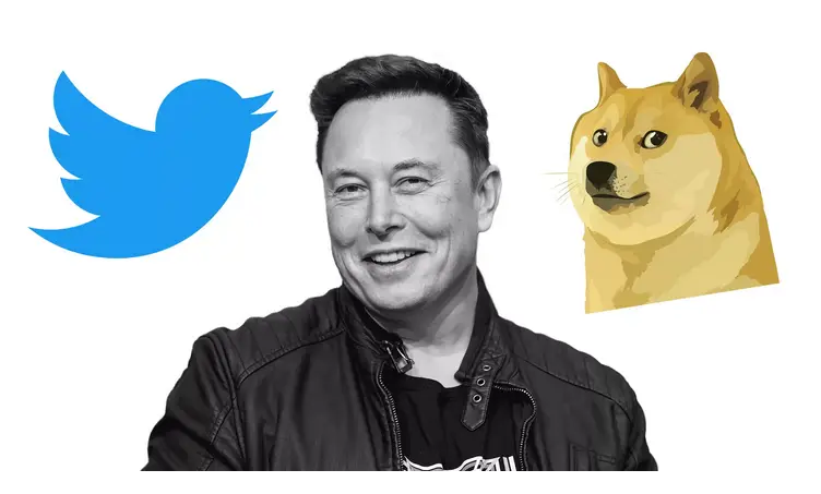 Twitter logo changed to Doge - SEEFLUX.COM